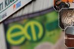 Erdő-Mező Magazin aktuális száma Erdő-Mező Magazin aktuális száma